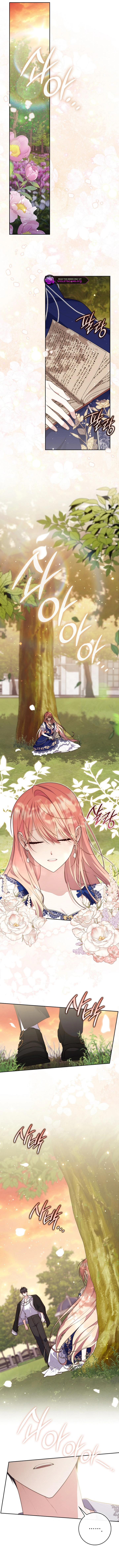 Read A Fortune Telling Princess en Manga Online