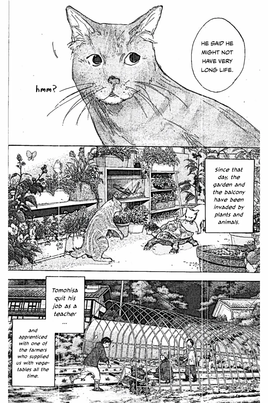 Read Ahiru No Sora en Manga Online