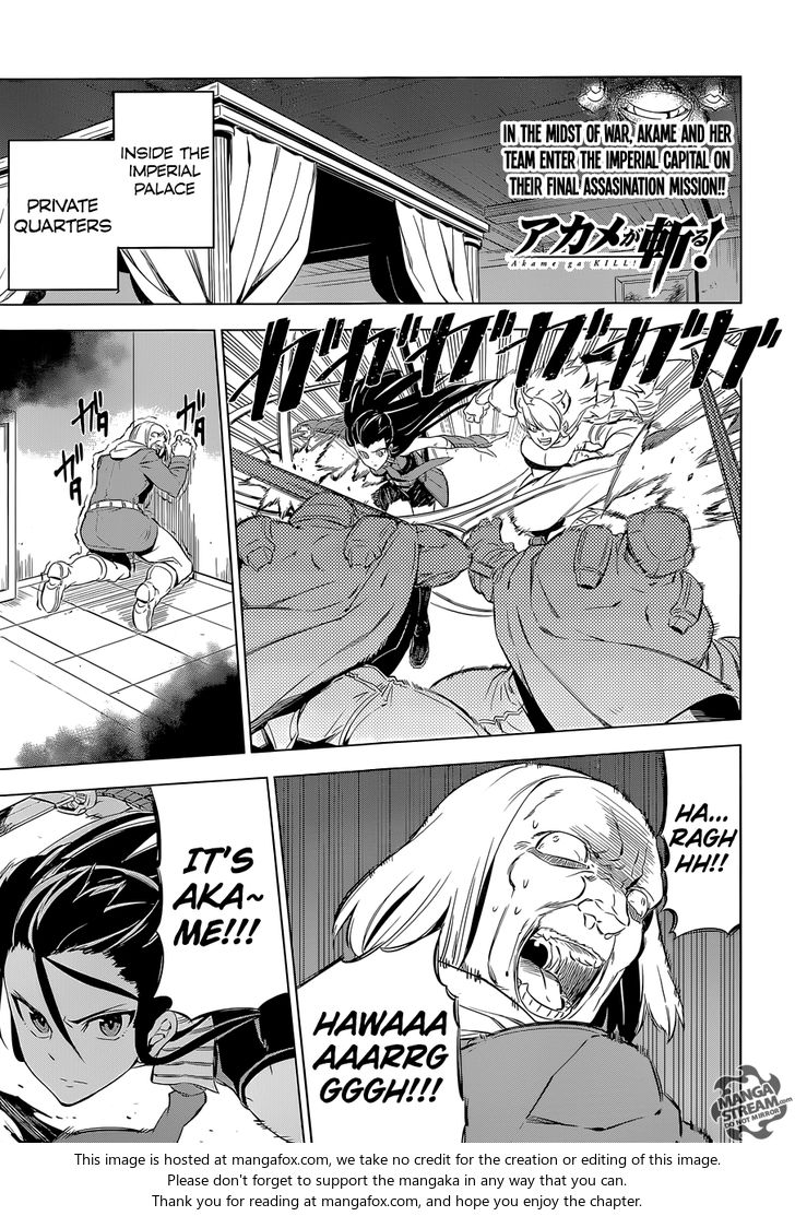 Read Akame ga Kill! en Manga Online