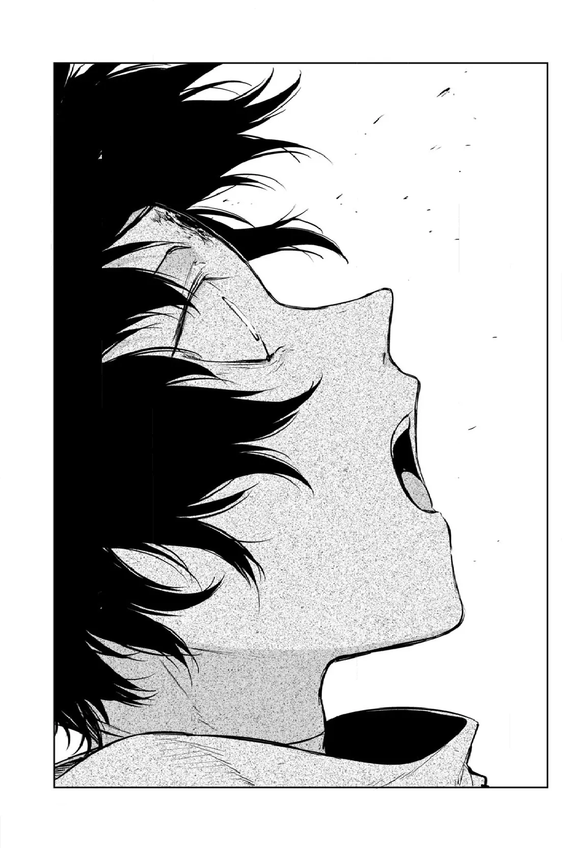 Read Bungou Stray Dogs en Manga Online