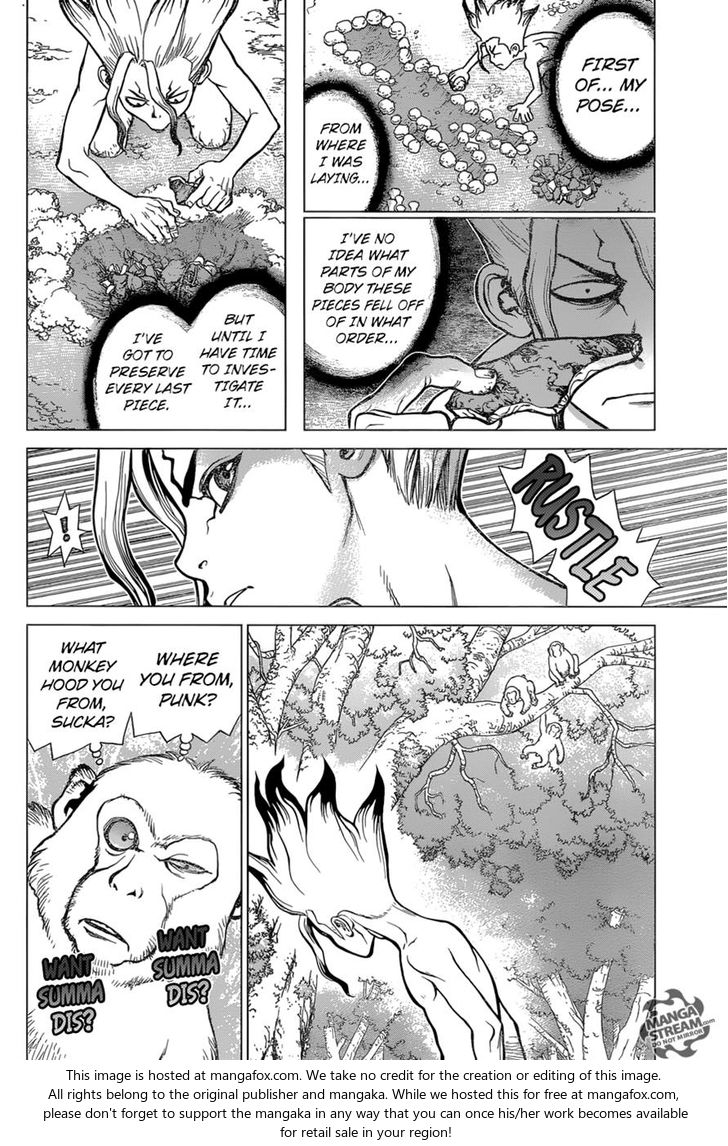 Read Dr. Stone en Manga Online