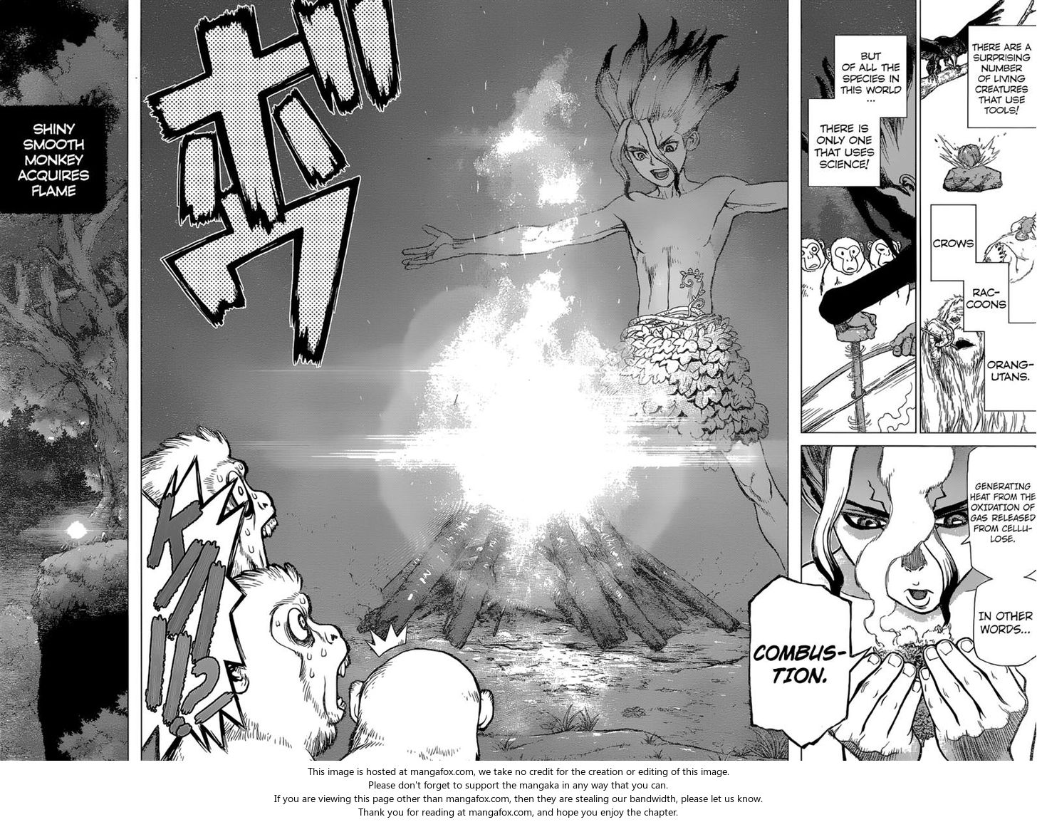 Read Dr. Stone en Manga Online