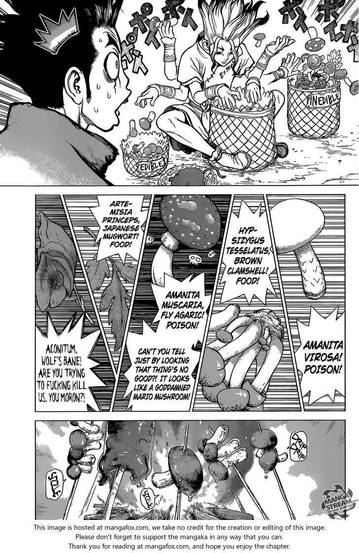 Read Dr. Stone en Manga Online