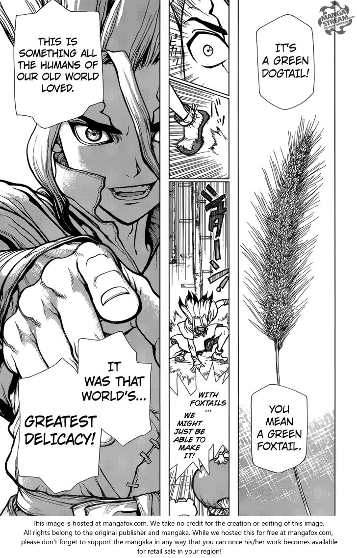 Read Dr. Stone en Manga Online