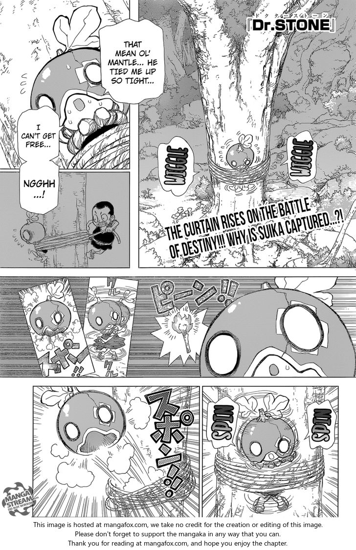 Read Dr. Stone en Manga Online
