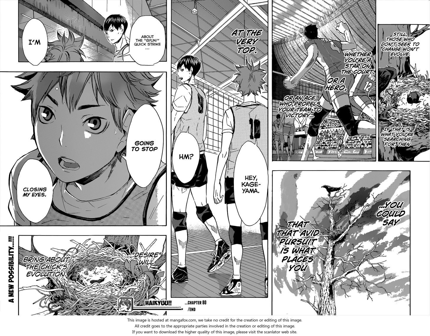 Read Haikyuu!! en Manga Online