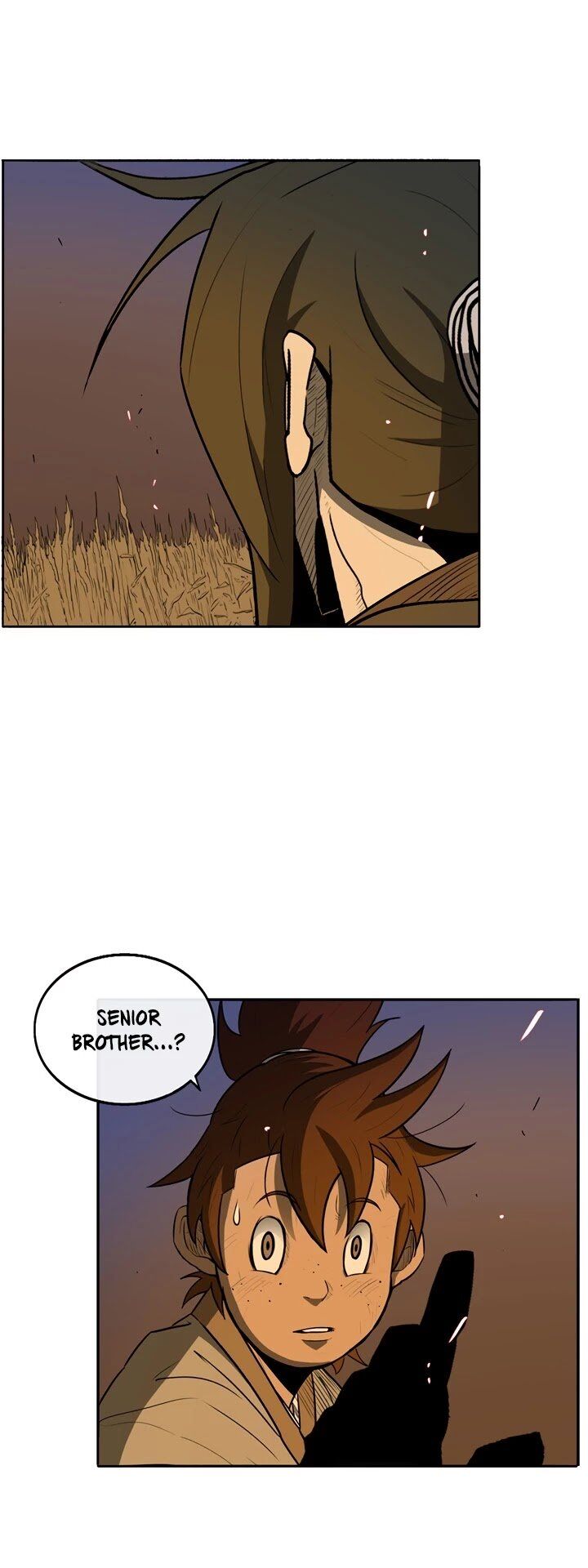 Read Legend of the Northern Blade en Manga Online