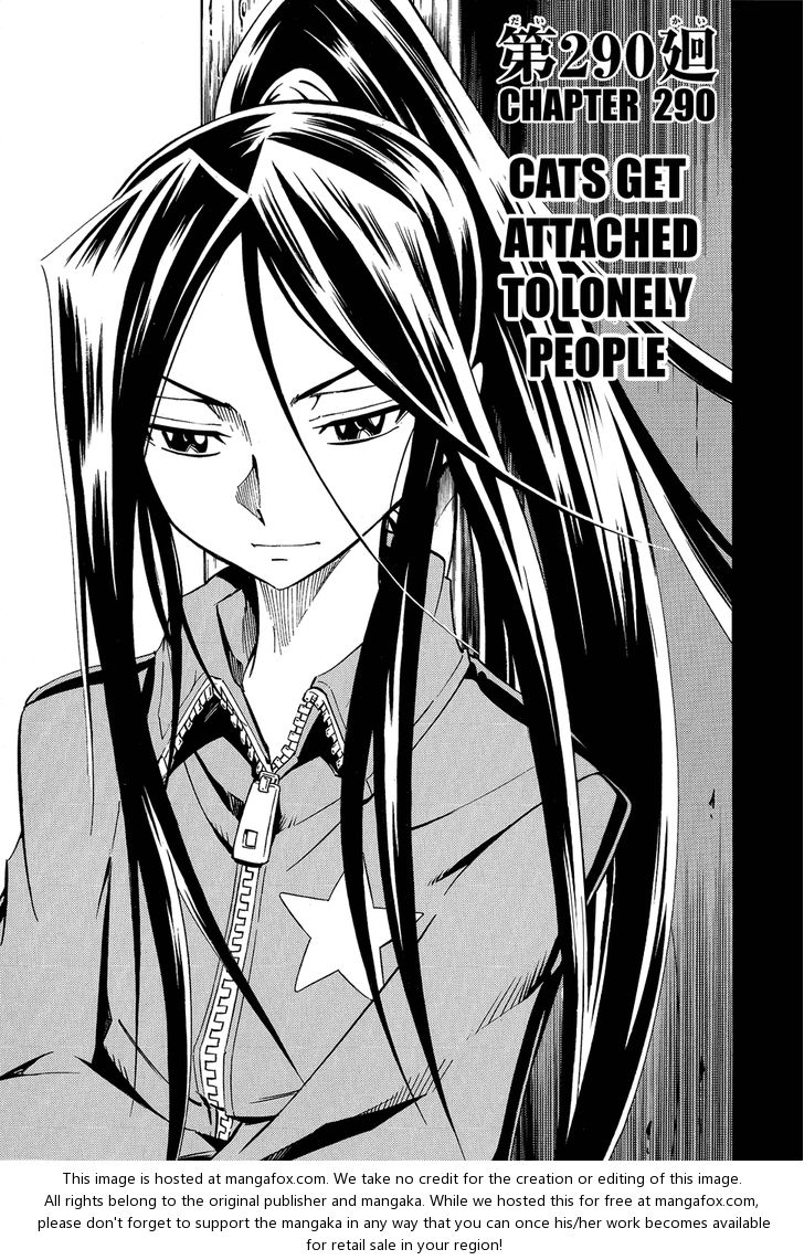 Read Shaman King en Manga Online