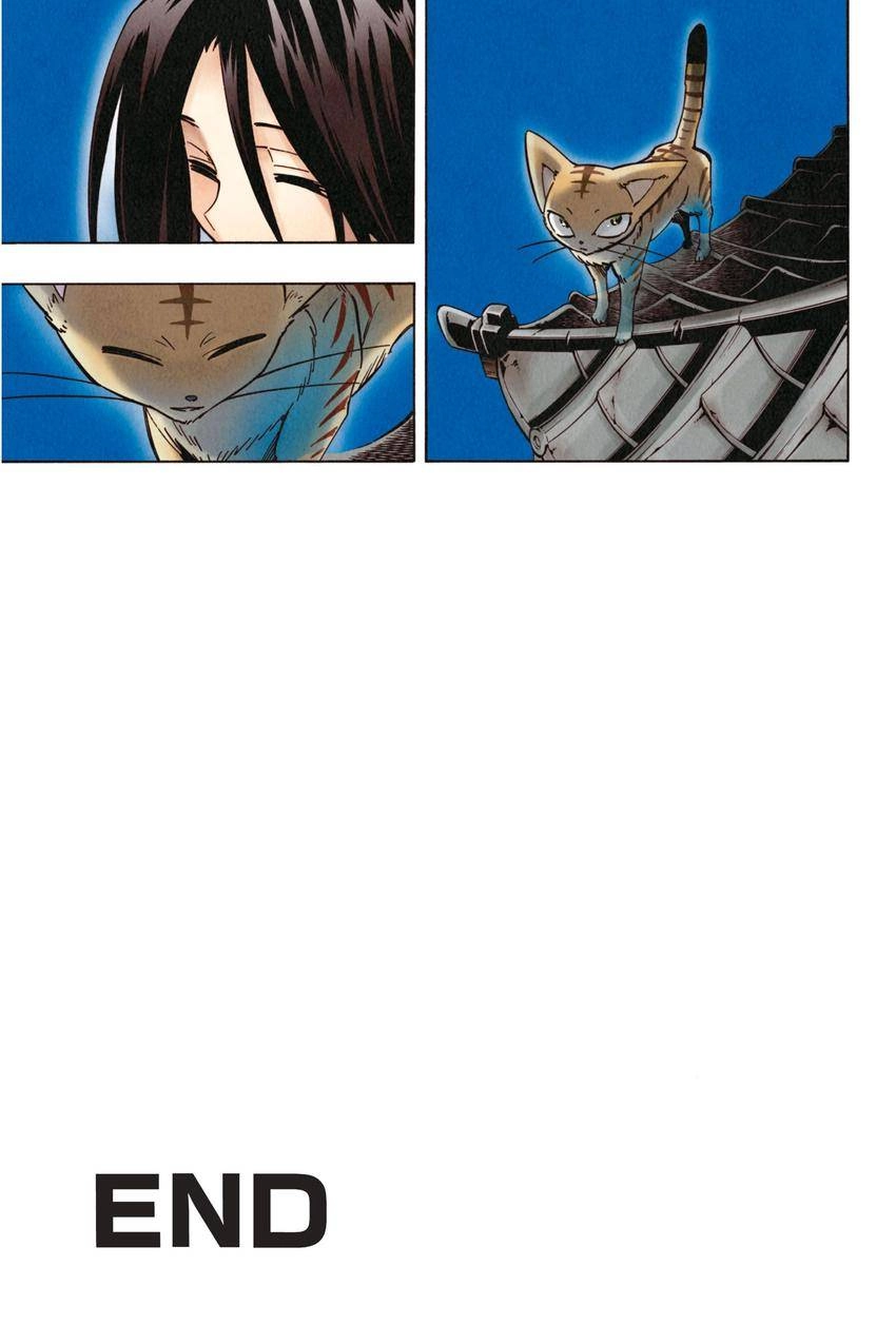 Read Shaman King en Manga Online