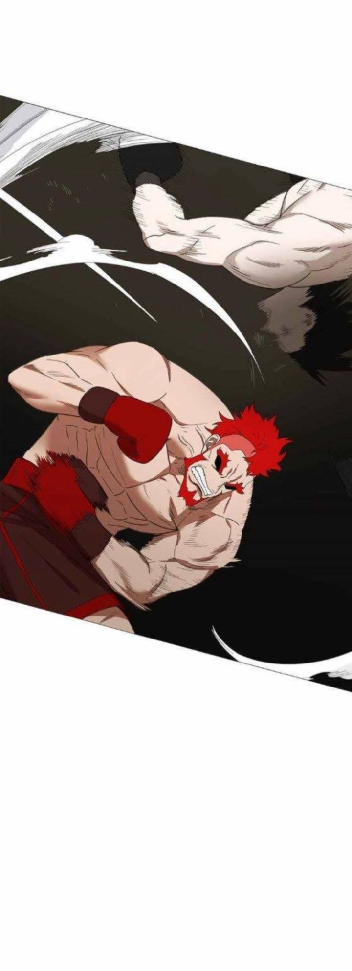 Read The Boxer en Manga Online