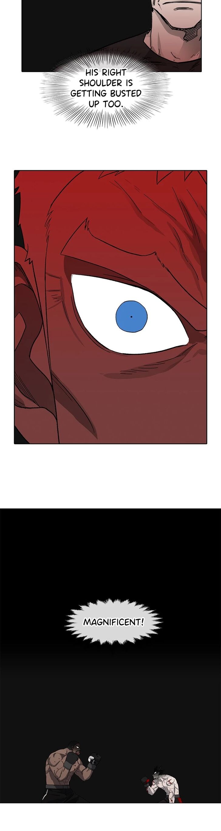 Read The Boxer en Manga Online
