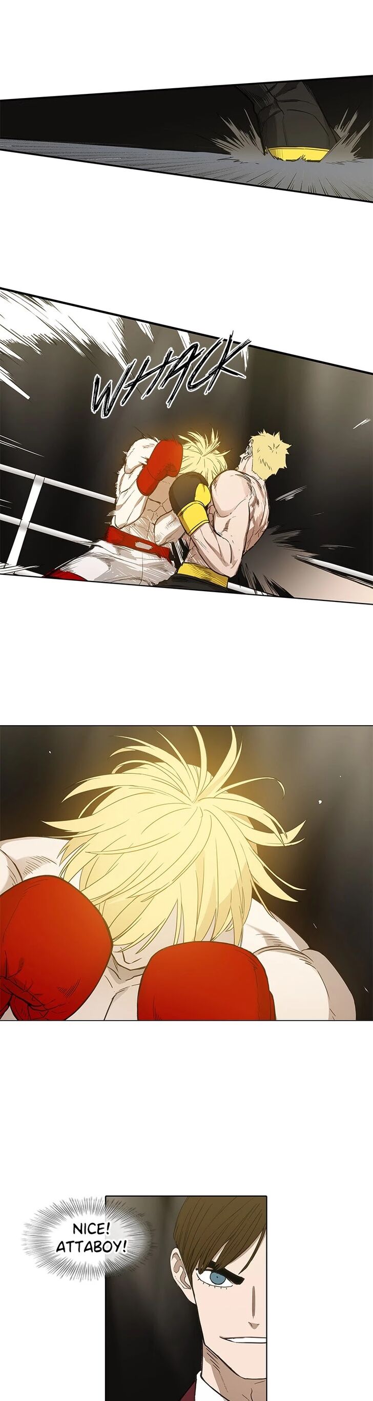 Read The Boxer en Manga Online