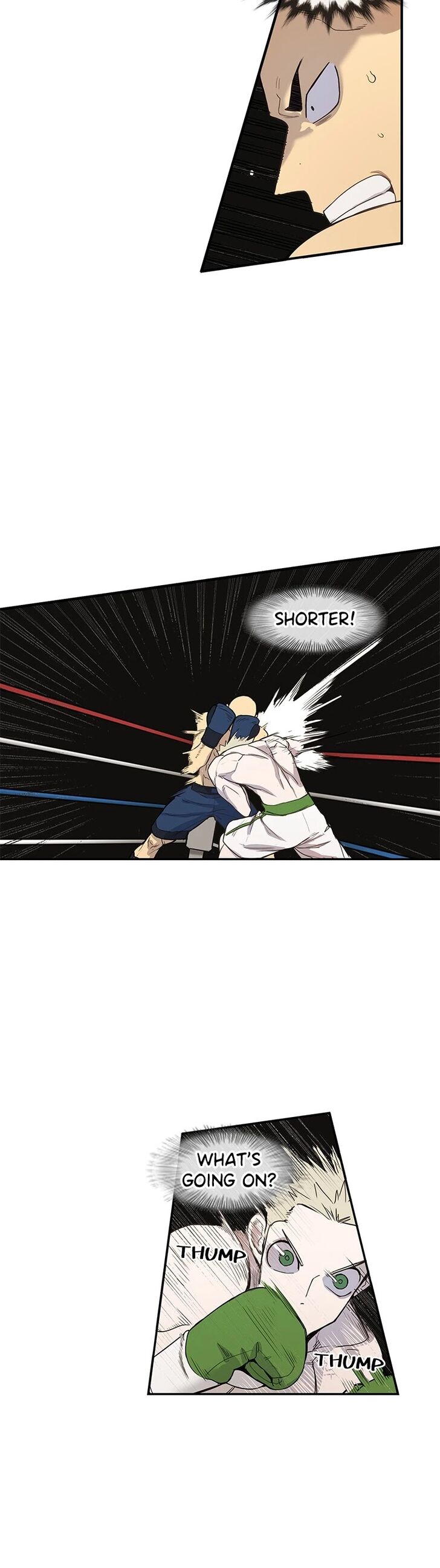 Read The Boxer en Manga Online