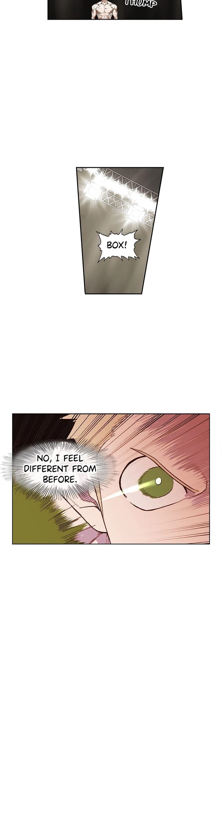 Read The Boxer en Manga Online