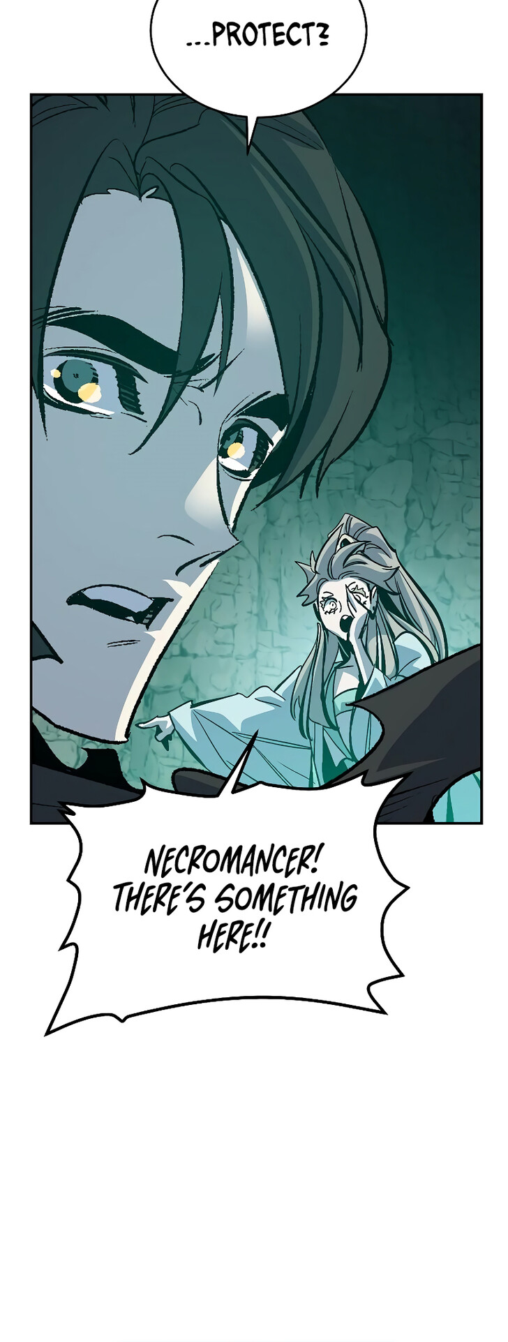 Read The Lone Necromancer en Manga Online