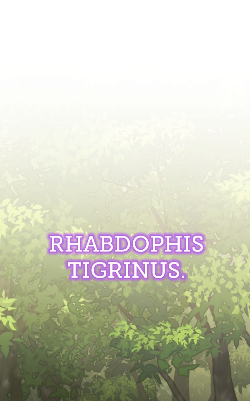 Read The Sichuan Tang Clan's Entomologist en Manga Online
