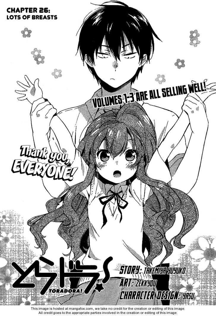 Read Toradora! EN Manga Online