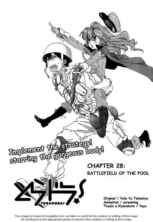 Read Toradora! EN Manga Online