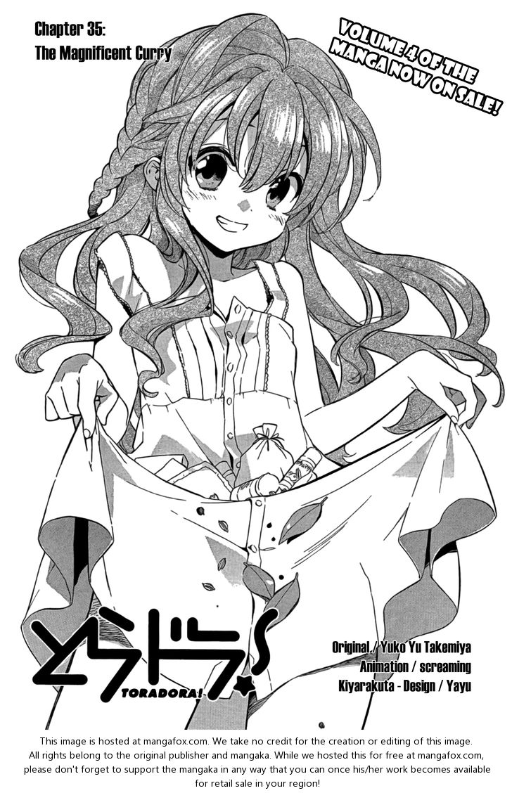 Read Toradora! EN Manga Online