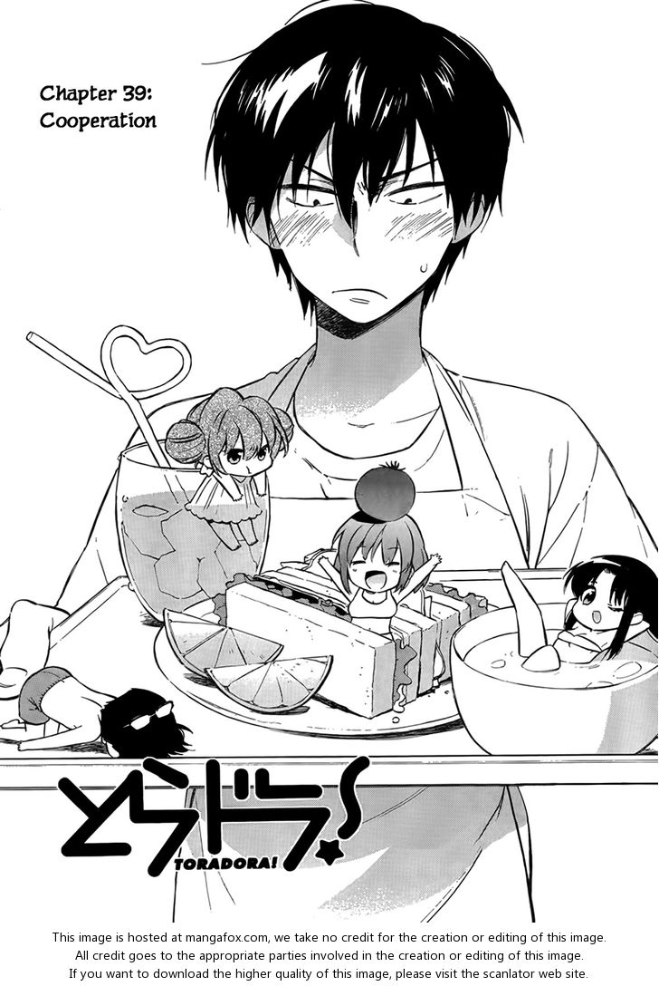 Read Toradora! EN Manga Online