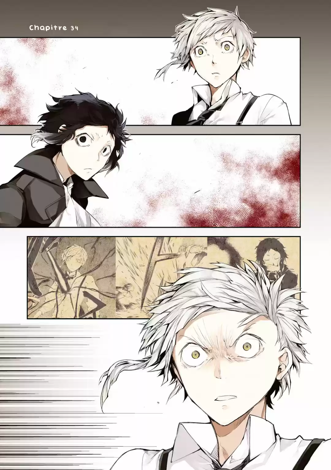 Read Bungou Stray Dogs fr Manga Online