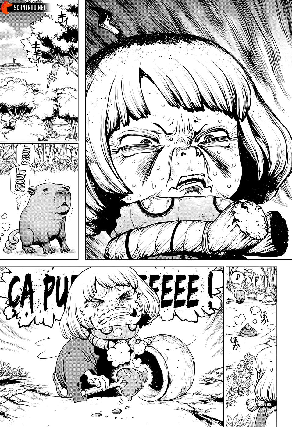 Read Dr. Stone FR Manga Online
