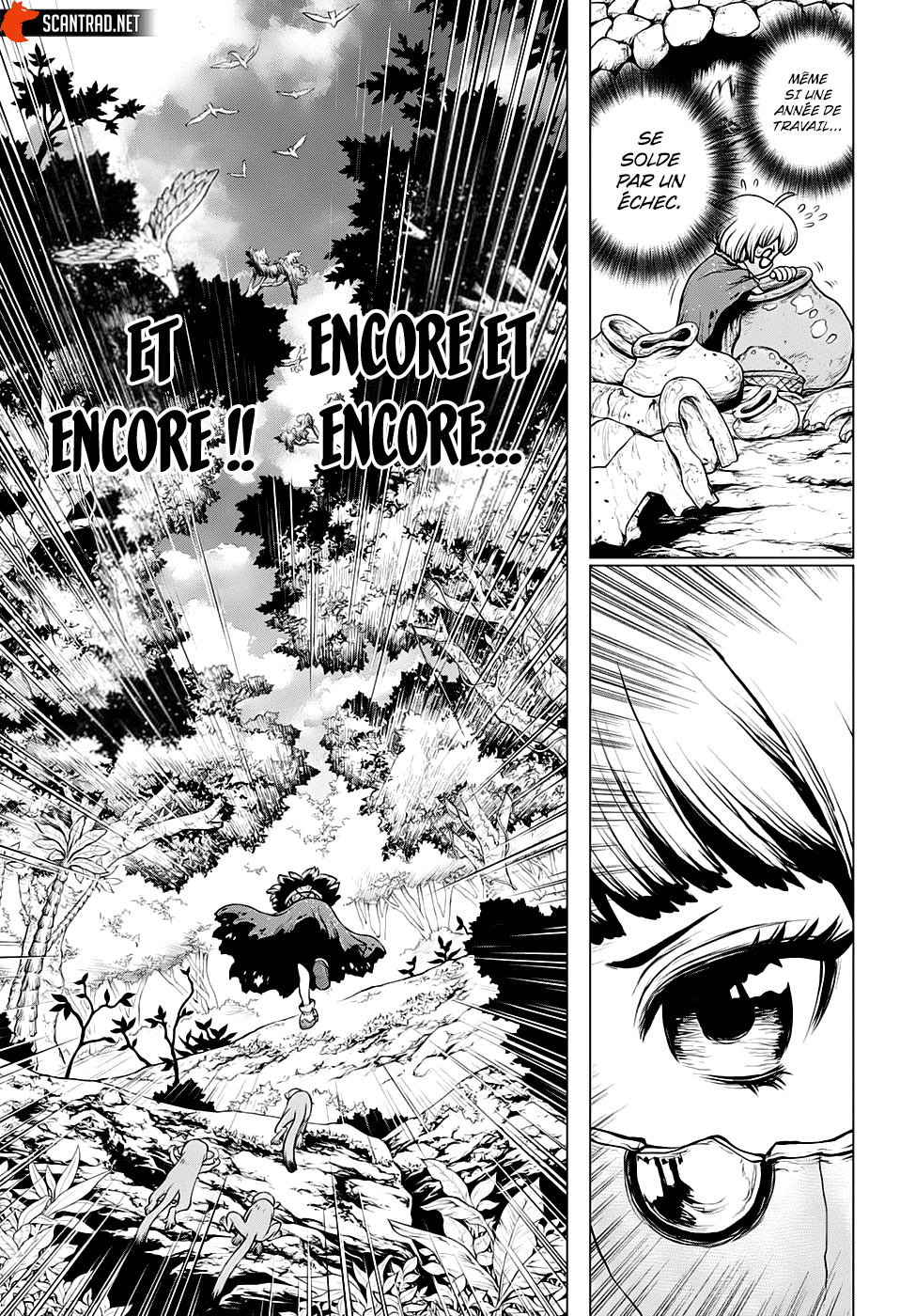 Read Dr. Stone FR Manga Online