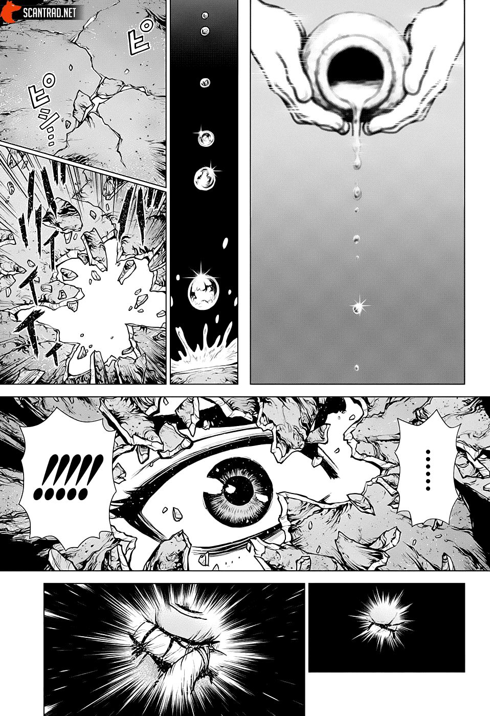Read Dr. Stone FR Manga Online