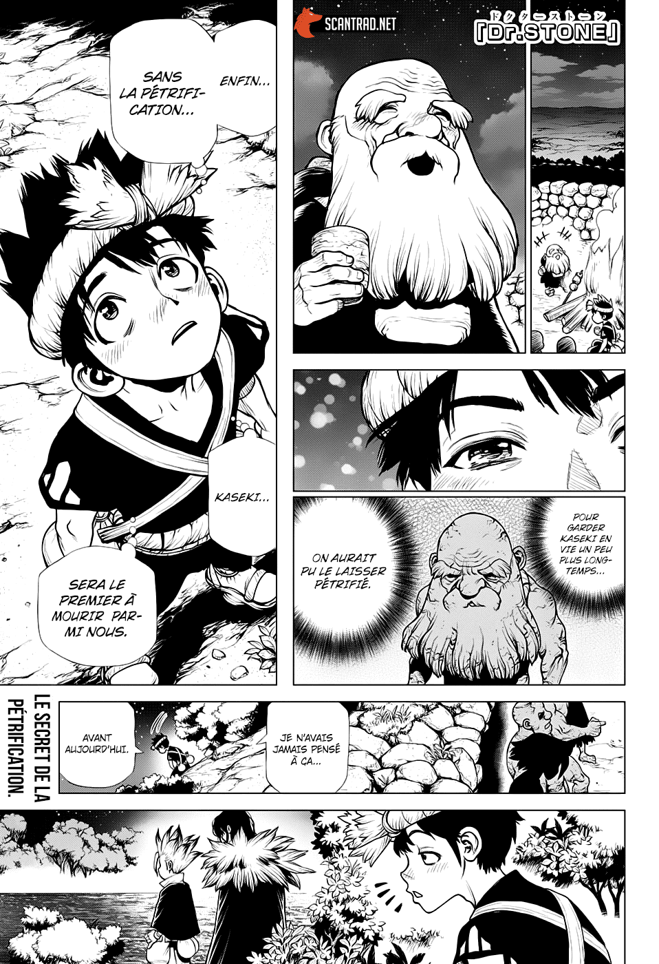 Read Dr. Stone FR Manga Online