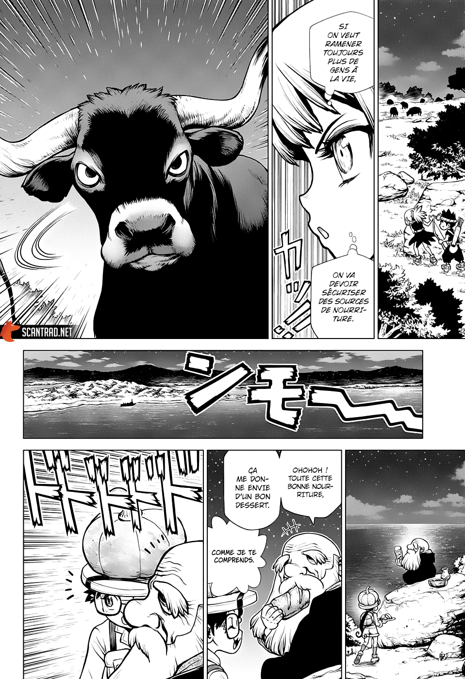 Read Dr. Stone FR Manga Online