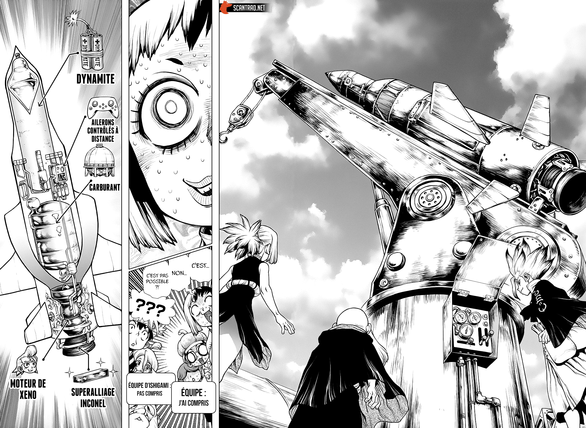 Read Dr. Stone FR Manga Online