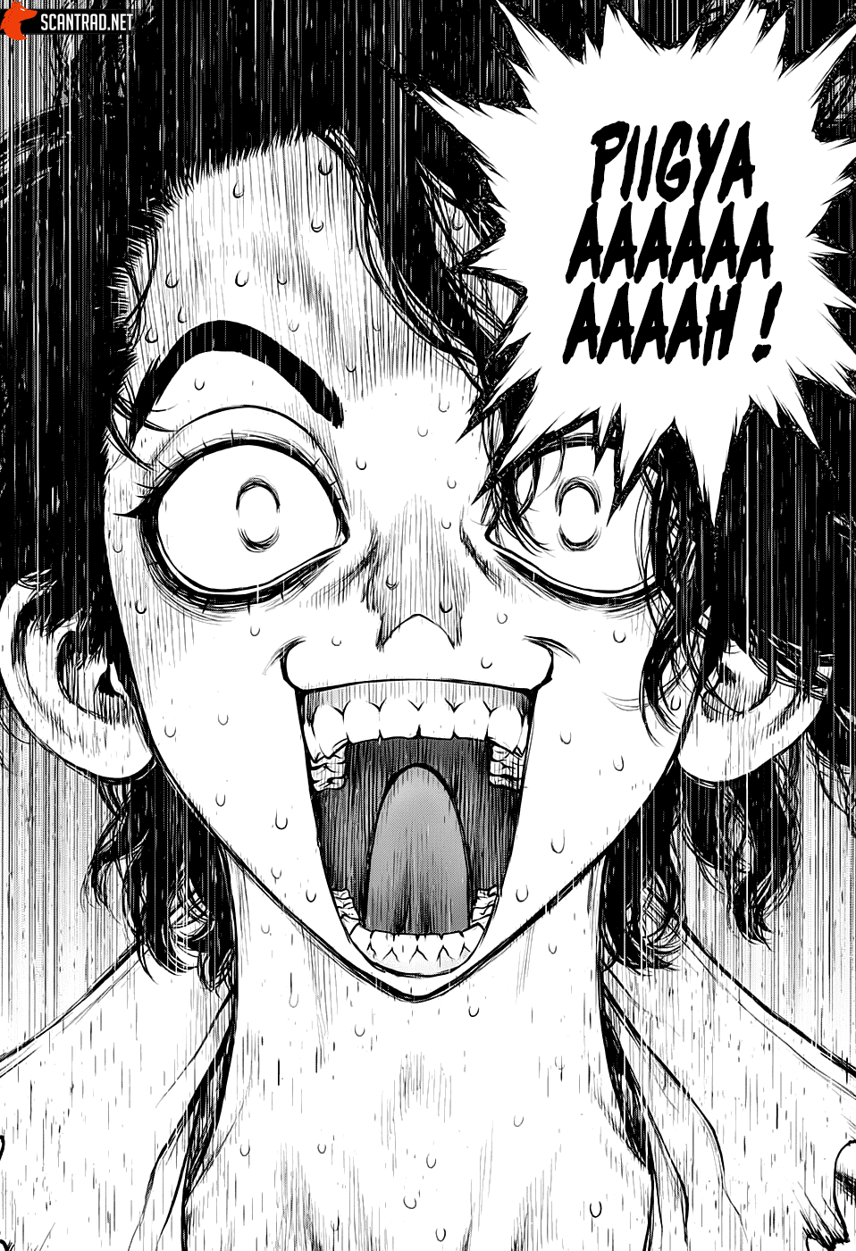 Read Dr. Stone FR Manga Online