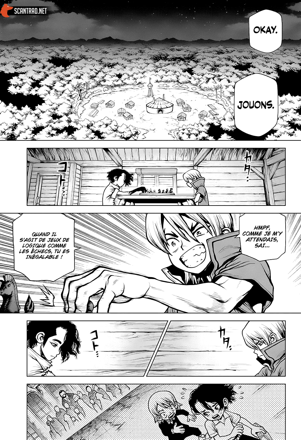 Read Dr. Stone FR Manga Online