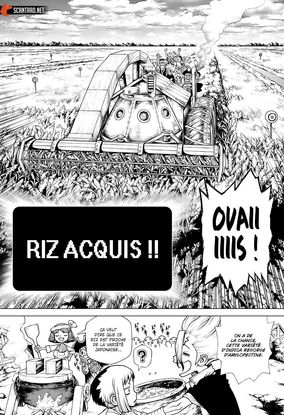 Read Dr. Stone FR Manga Online