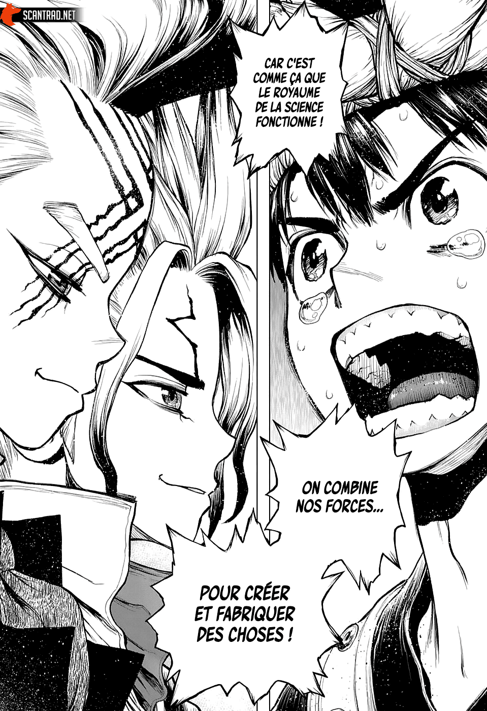 Read Dr. Stone FR Manga Online