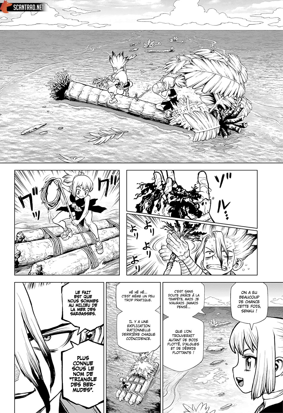 Read Dr. Stone FR Manga Online