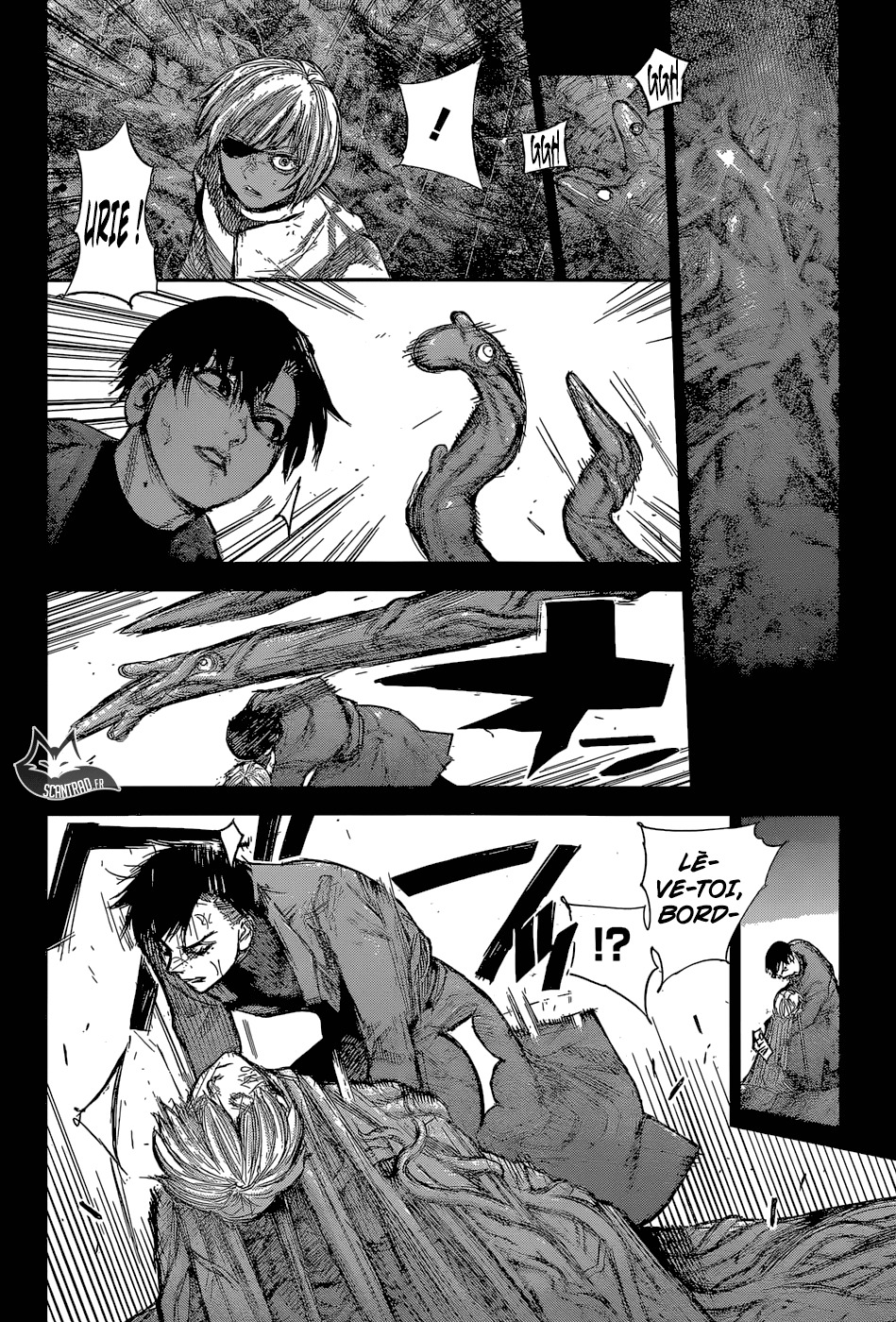 Read Tokyo Ghoul Re FR Manga Online