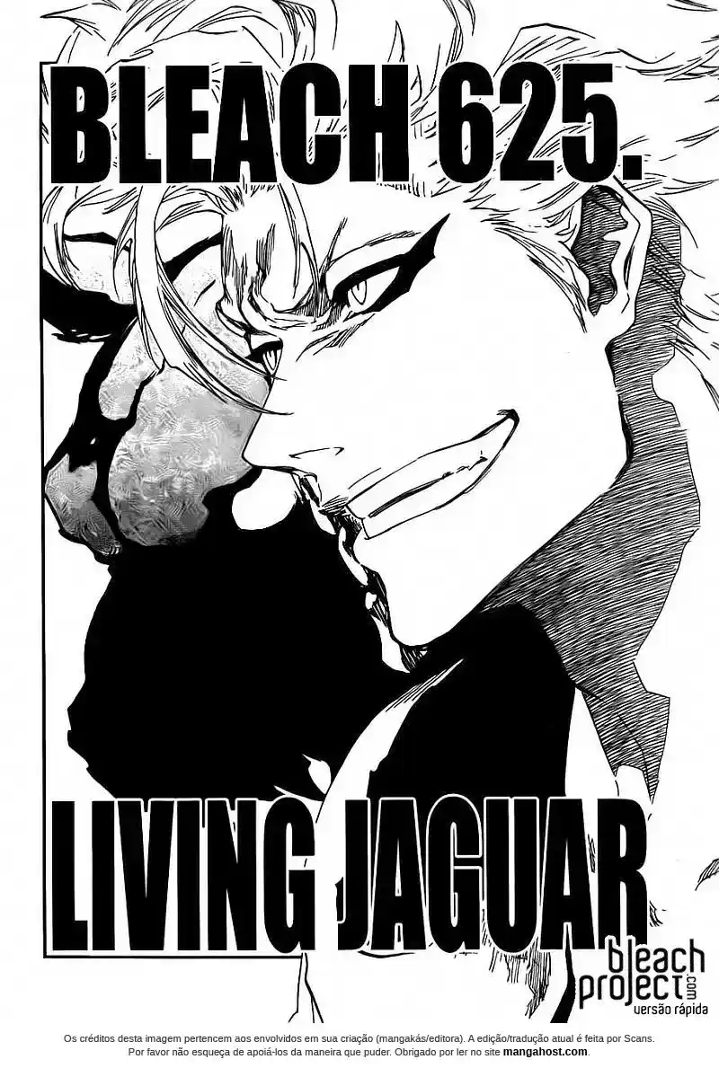 Read Bleach BR Manga Online