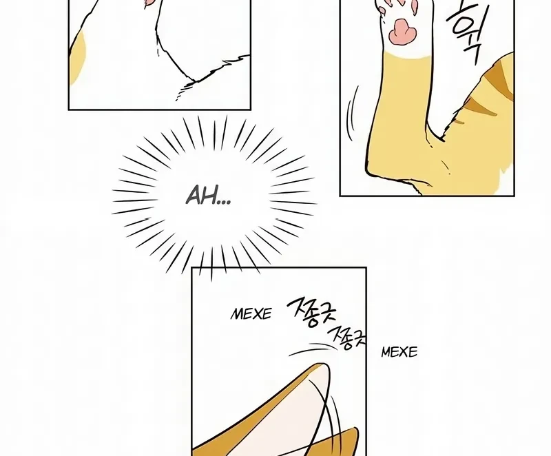 Read Eleceed BR Manga Online