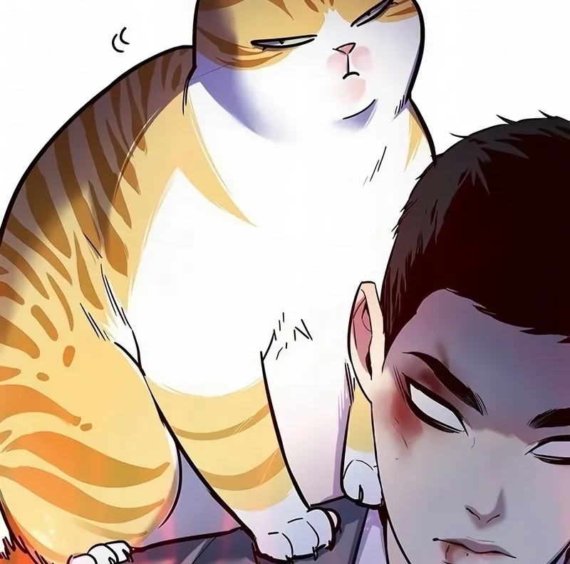 Read Eleceed BR Manga Online