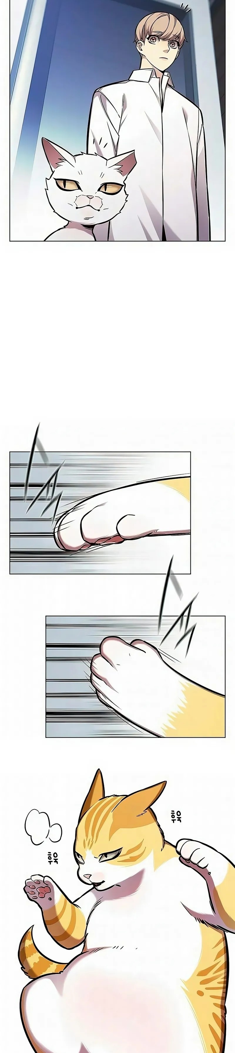 Read Eleceed BR Manga Online