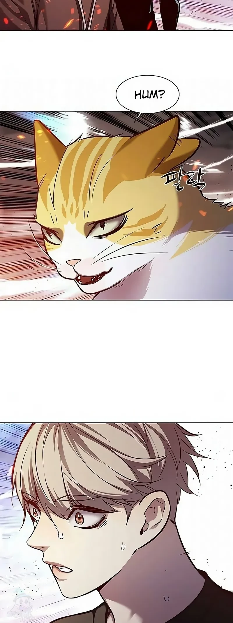 Read Eleceed BR Manga Online