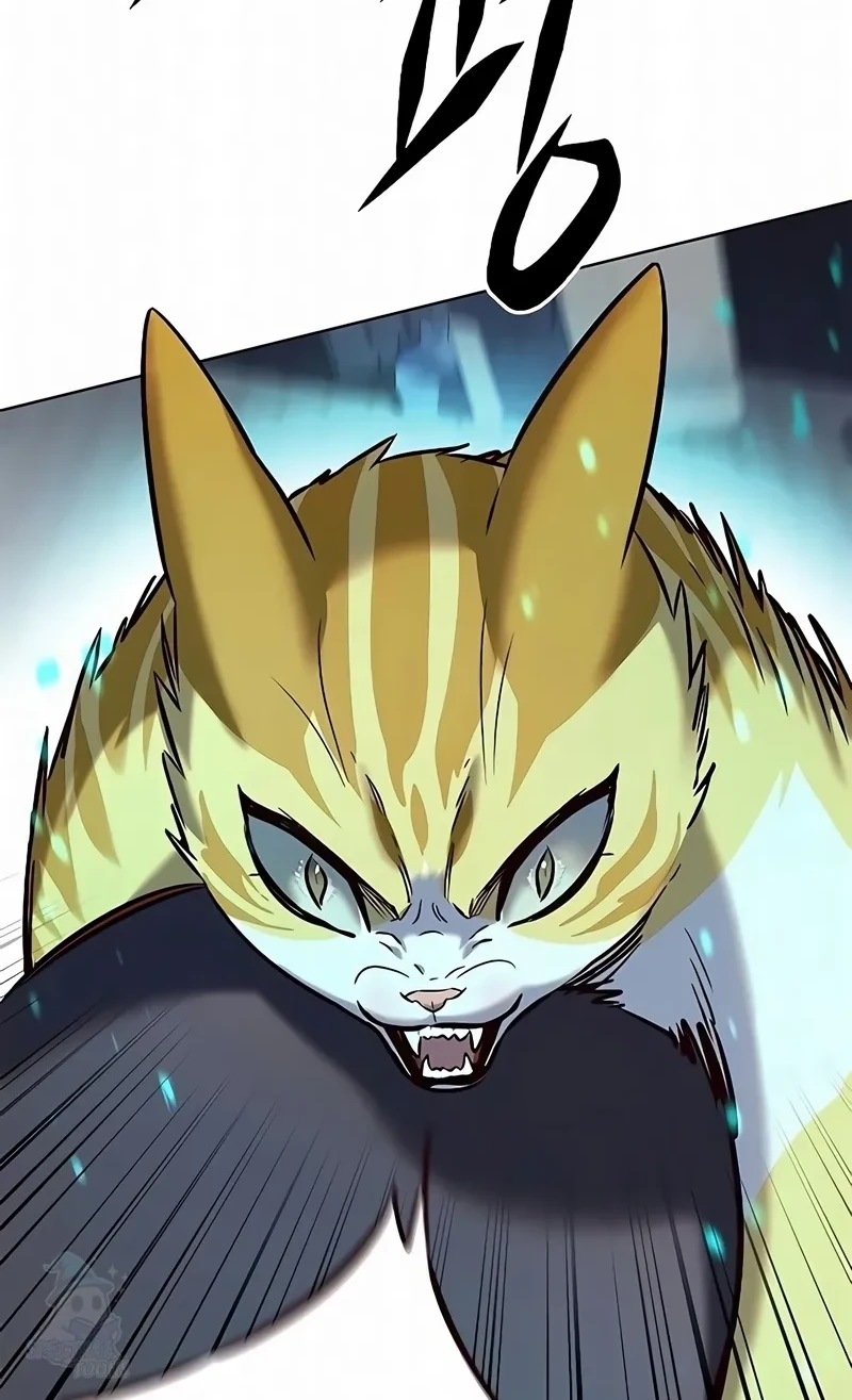 Read Eleceed BR Manga Online