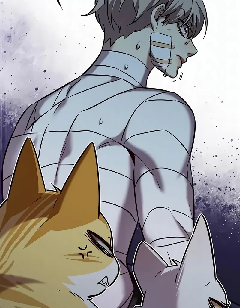 Read Eleceed BR Manga Online