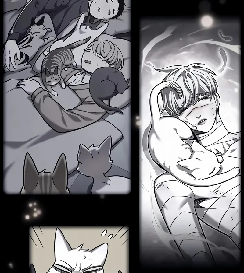 Read Eleceed BR Manga Online