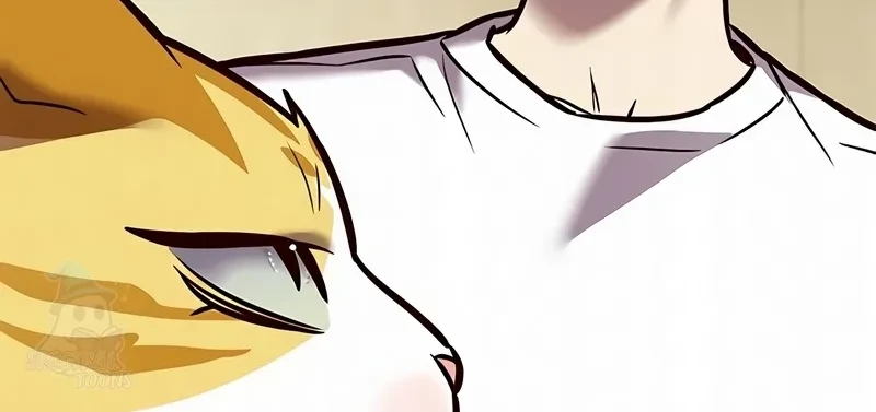Read Eleceed BR Manga Online