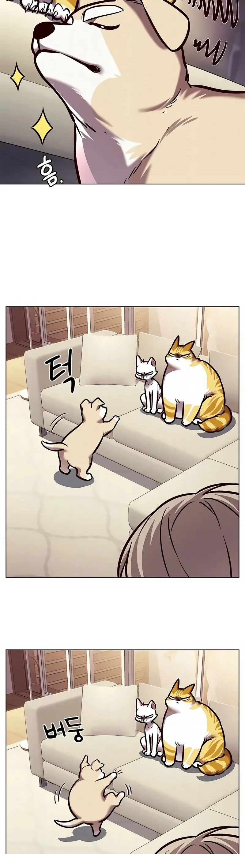 Read Eleceed BR Manga Online
