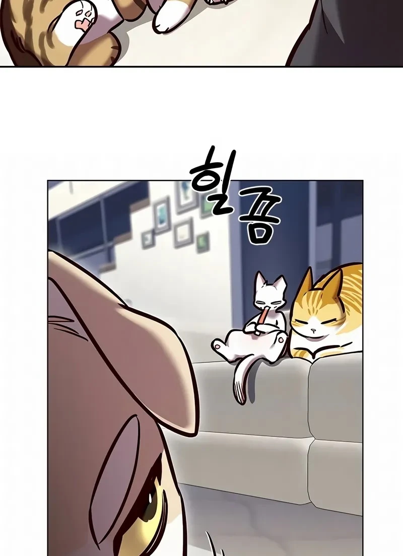 Read Eleceed BR Manga Online