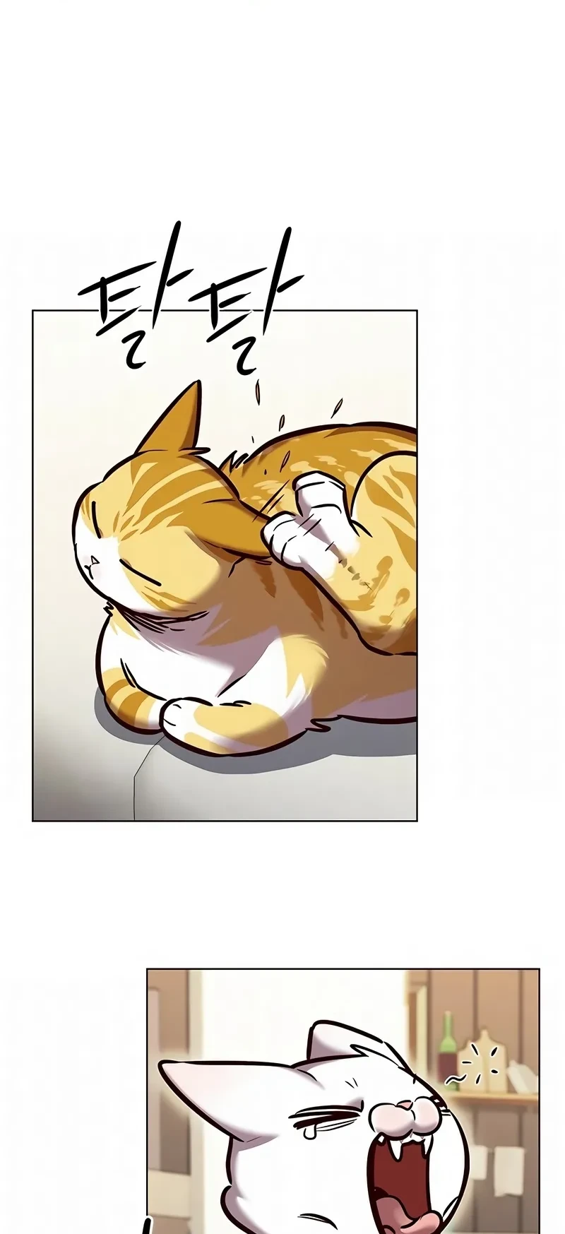 Read Eleceed BR Manga Online