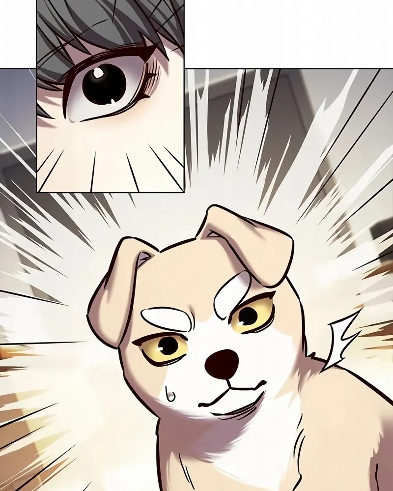 Read Eleceed BR Manga Online